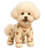 Mianmian fluffy dog Codex pet